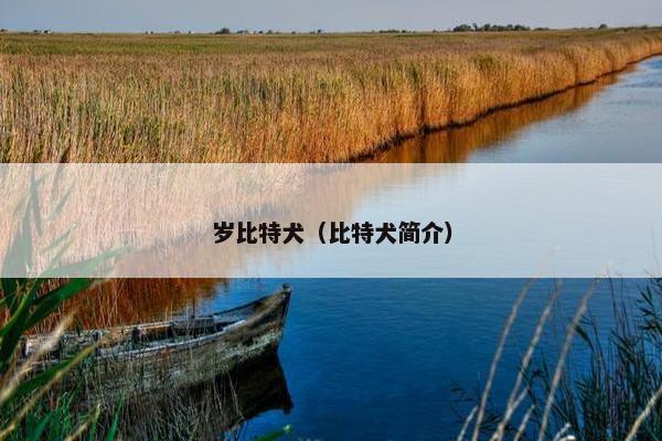 岁比特犬（比特犬简介）