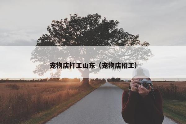 宠物店打工山东（宠物店招工）