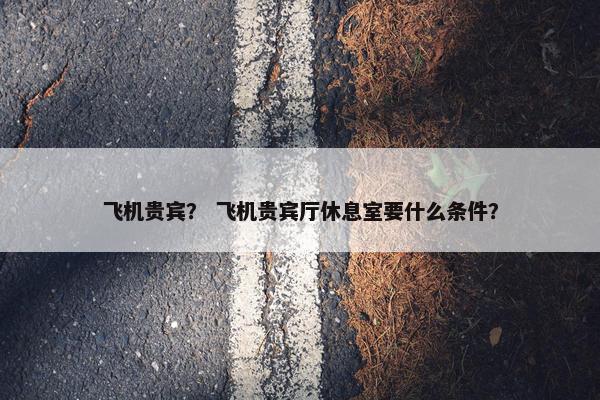 飞机贵宾？ 飞机贵宾厅休息室要什么条件？