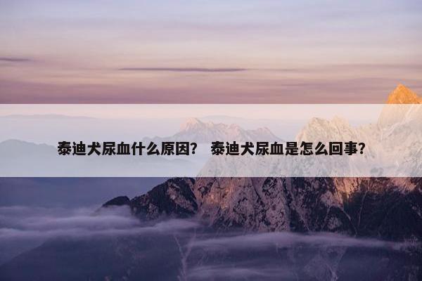 泰迪犬尿血什么原因？ 泰迪犬尿血是怎么回事？