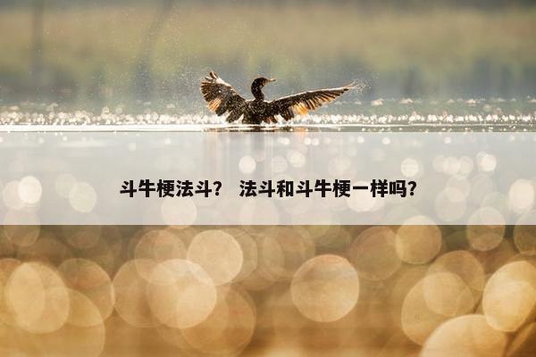 斗牛梗法斗？ 法斗和斗牛梗一样吗？