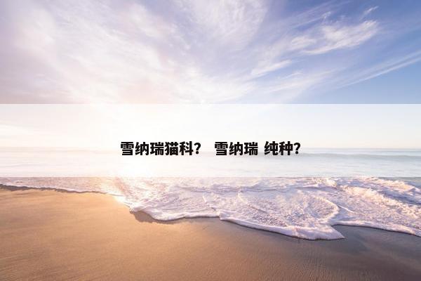 雪纳瑞猫科？ 雪纳瑞 纯种？