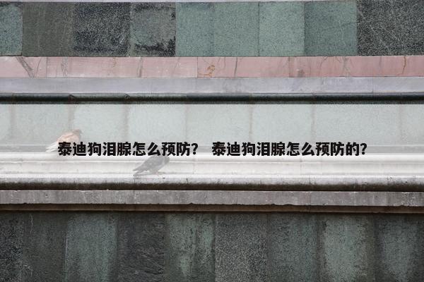 泰迪狗泪腺怎么预防？ 泰迪狗泪腺怎么预防的？