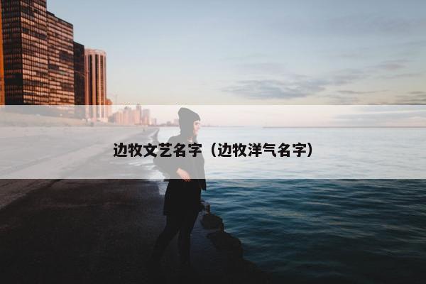 边牧文艺名字（边牧洋气名字）