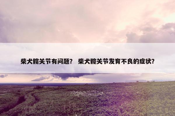 柴犬髋关节有问题？ 柴犬髋关节发育不良的症状？