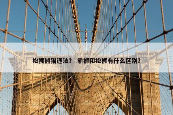 松狮熊猫违法？ 熊狮和松狮有什么区别？