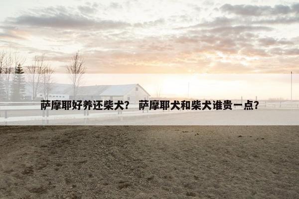 萨摩耶好养还柴犬？ 萨摩耶犬和柴犬谁贵一点？