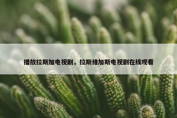 播放拉斯加电视剧，拉斯维加斯电视剧在线观看