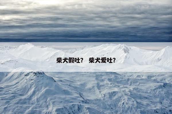 柴犬假吐？ 柴犬爱吐？