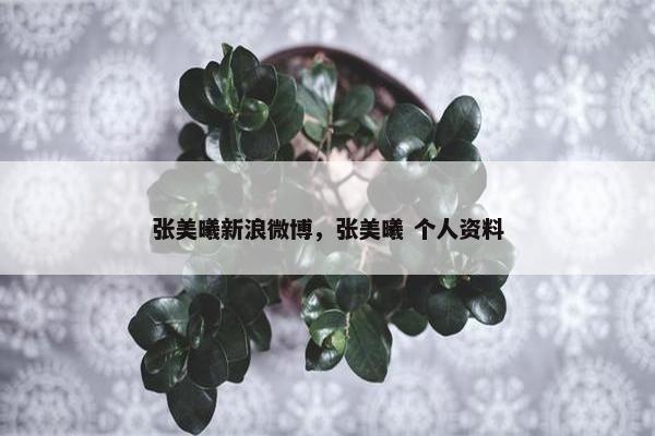 张美曦新浪微博，张美曦 个人资料