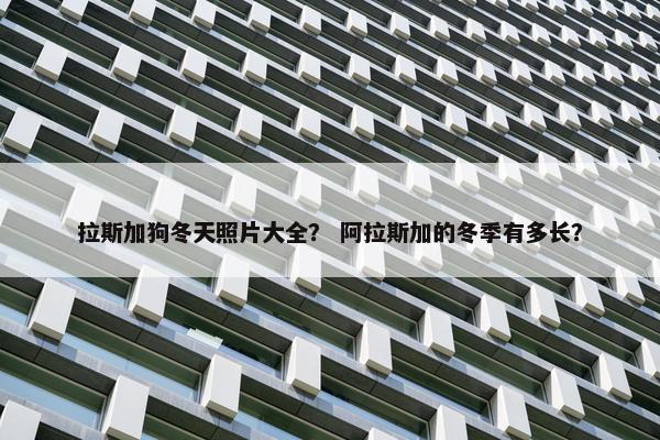 拉斯加狗冬天照片大全？ 阿拉斯加的冬季有多长？