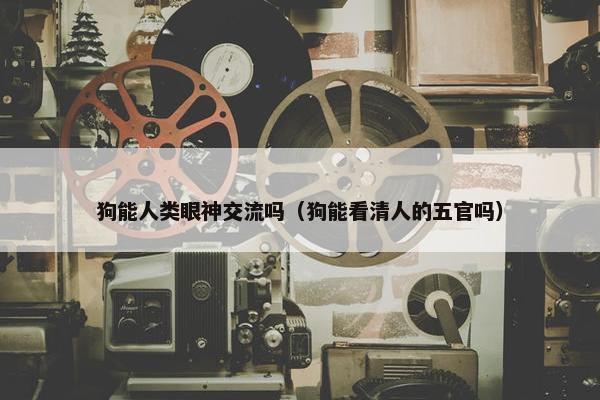 狗能人类眼神交流吗（狗能看清人的五官吗）