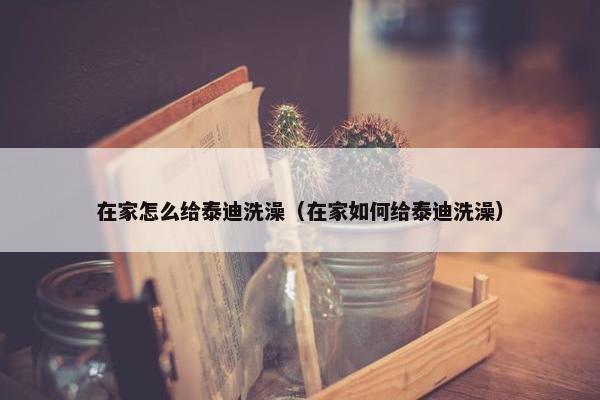 在家怎么给泰迪洗澡(在家如何给泰迪洗澡) 在家怎么给泰迪洗澡(在家如何给泰迪洗澡)
