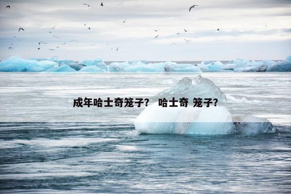 成年哈士奇笼子？ 哈士奇 笼子？