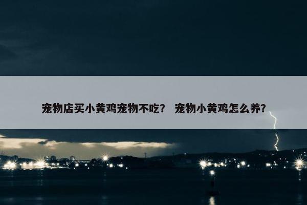 宠物店买小黄鸡宠物不吃？ 宠物小黄鸡怎么养？