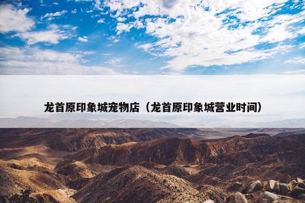 龙首原印象城宠物店（龙首原印象城营业时间）