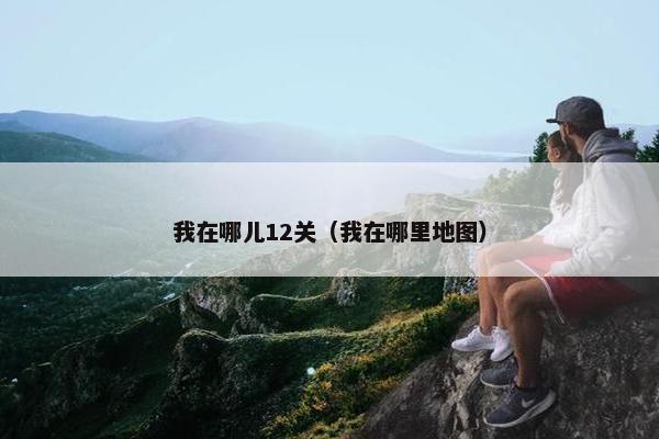 我在哪儿12关（我在哪里地图）