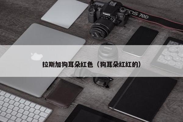 拉斯加狗耳朵红色（狗耳朵红红的）