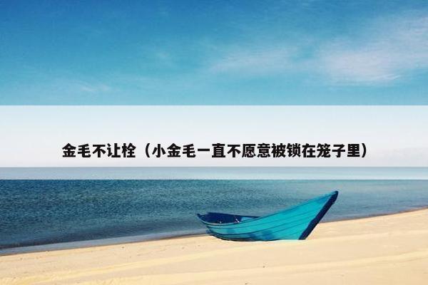 金毛不让栓（小金毛一直不愿意被锁在笼子里）