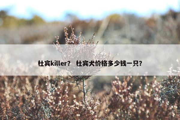 杜宾killer？ 杜宾犬价格多少钱一只？