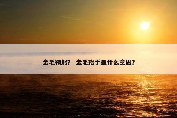 金毛鞠躬？ 金毛抬手是什么意思？