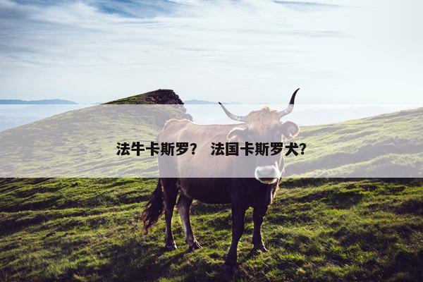 法牛卡斯罗？ 法国卡斯罗犬？