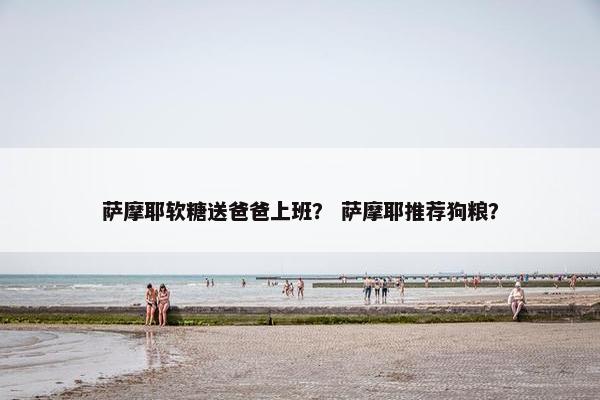 萨摩耶软糖送爸爸上班？ 萨摩耶推荐狗粮？