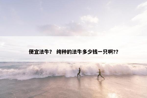 便宜法牛？ 纯种的法牛多少钱一只啊?？