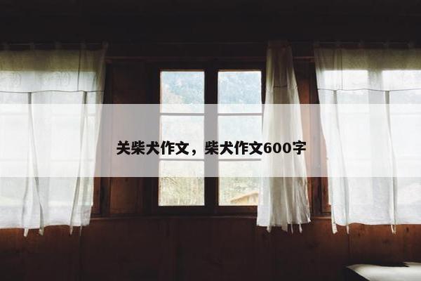 关柴犬作文，柴犬作文600字