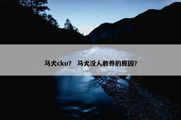 马犬cku？ 马犬没人敢养的原因？