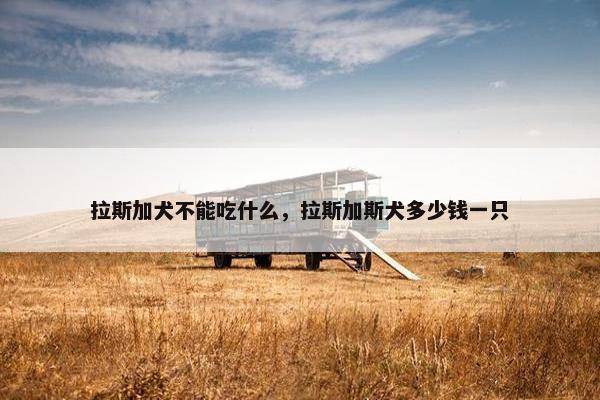 拉斯加犬不能吃什么，拉斯加斯犬多少钱一只