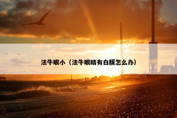 法牛眼小（法牛眼睛有白膜怎么办）