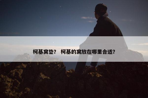 柯基窝垫？ 柯基的窝放在哪里合适？