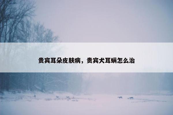 贵宾耳朵皮肤病，贵宾犬耳螨怎么治