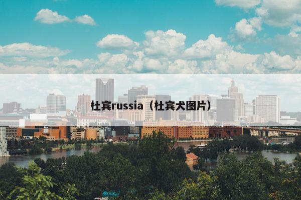 杜宾russia（杜宾犬图片）