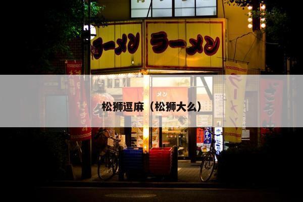 松狮逗麻（松狮大么）