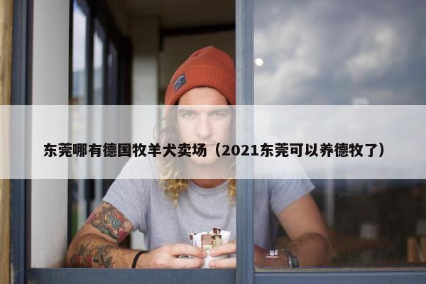 东莞哪有德国牧羊犬卖场（2021东莞可以养德牧了）