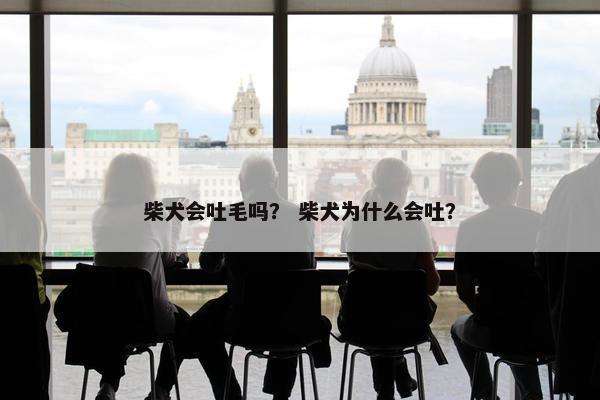 柴犬会吐毛吗？ 柴犬为什么会吐？