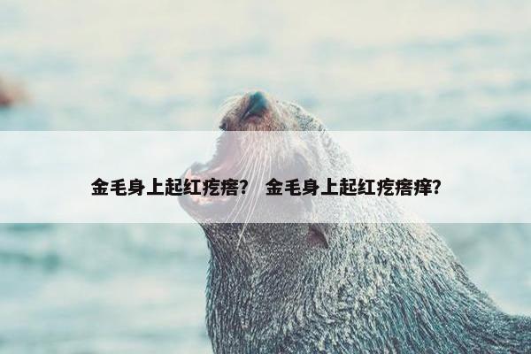 金毛身上起红疙瘩？ 金毛身上起红疙瘩痒？