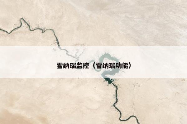 雪纳瑞监控（雪纳瑞功能）