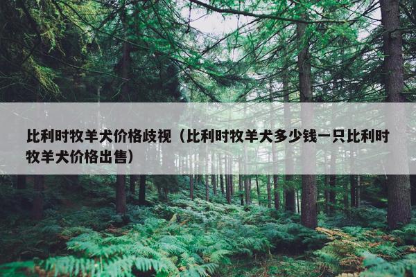 比利时牧羊犬价格歧视（比利时牧羊犬多少钱一只比利时牧羊犬价格出售）