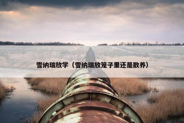 雪纳瑞放学（雪纳瑞放笼子里还是散养）