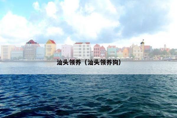 汕头领养（汕头领养狗）