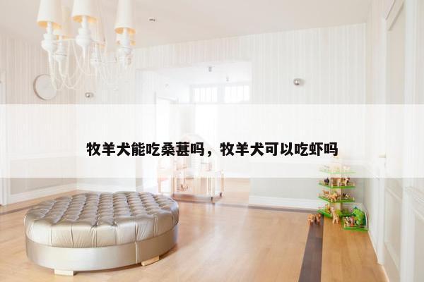 牧羊犬能吃桑葚吗，牧羊犬可以吃虾吗