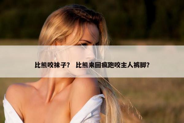 比熊咬袜子？ 比熊来回疯跑咬主人裤脚？