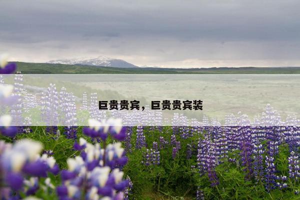 巨贵贵宾，巨贵贵宾装