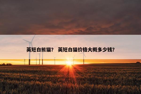 英短白熊猫？ 英短白猫价格大概多少钱？
