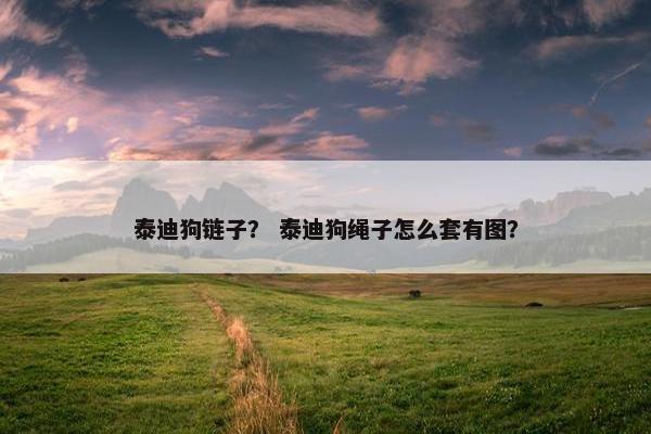泰迪狗链子？ 泰迪狗绳子怎么套有图？