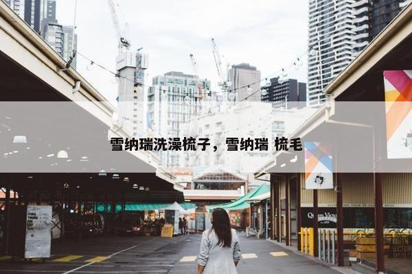 雪纳瑞洗澡梳子，雪纳瑞 梳毛