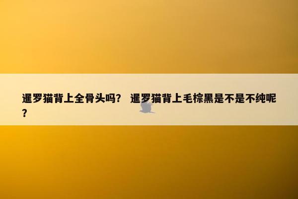 暹罗猫背上全骨头吗？ 暹罗猫背上毛棕黑是不是不纯呢？